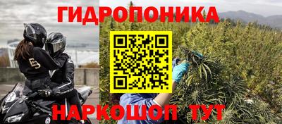 PSILOCYBIN Краснодар
