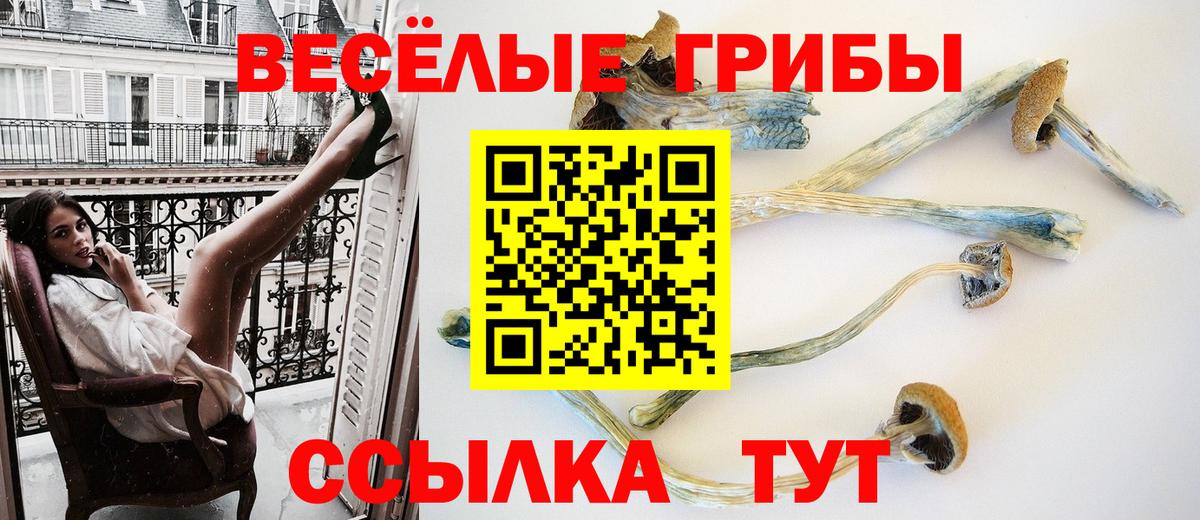 Галлюциногенные грибы прущие грибы Тимашёвск