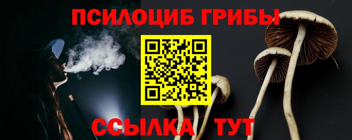 Тимашёвск  Галлюциногенные грибы MAGIC MUSHROOMS  Вход с VPN 